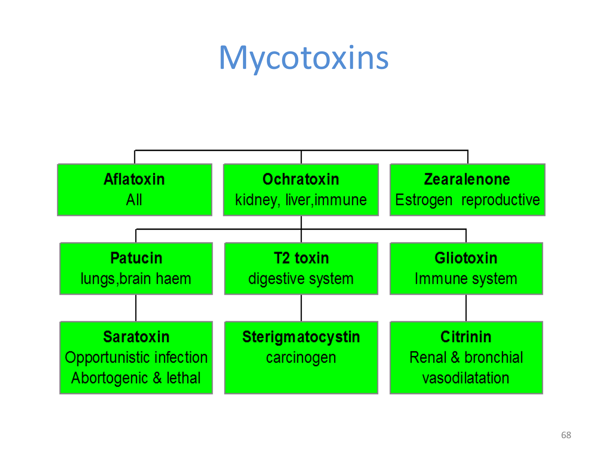 Mouldillness Mycotoxins building forensics the verities of Mycotoxins